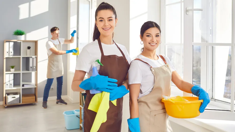 Regular House Cleaning